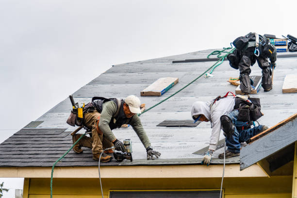 Professional Flat Roof Repair technician working in Cologne, MN